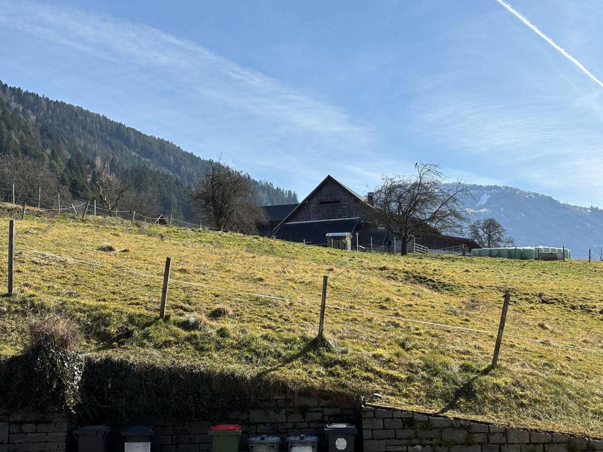 Moderne-ferienwohnung-nur-1km-vom-millstaetter-see-in-kaernten-entfernt