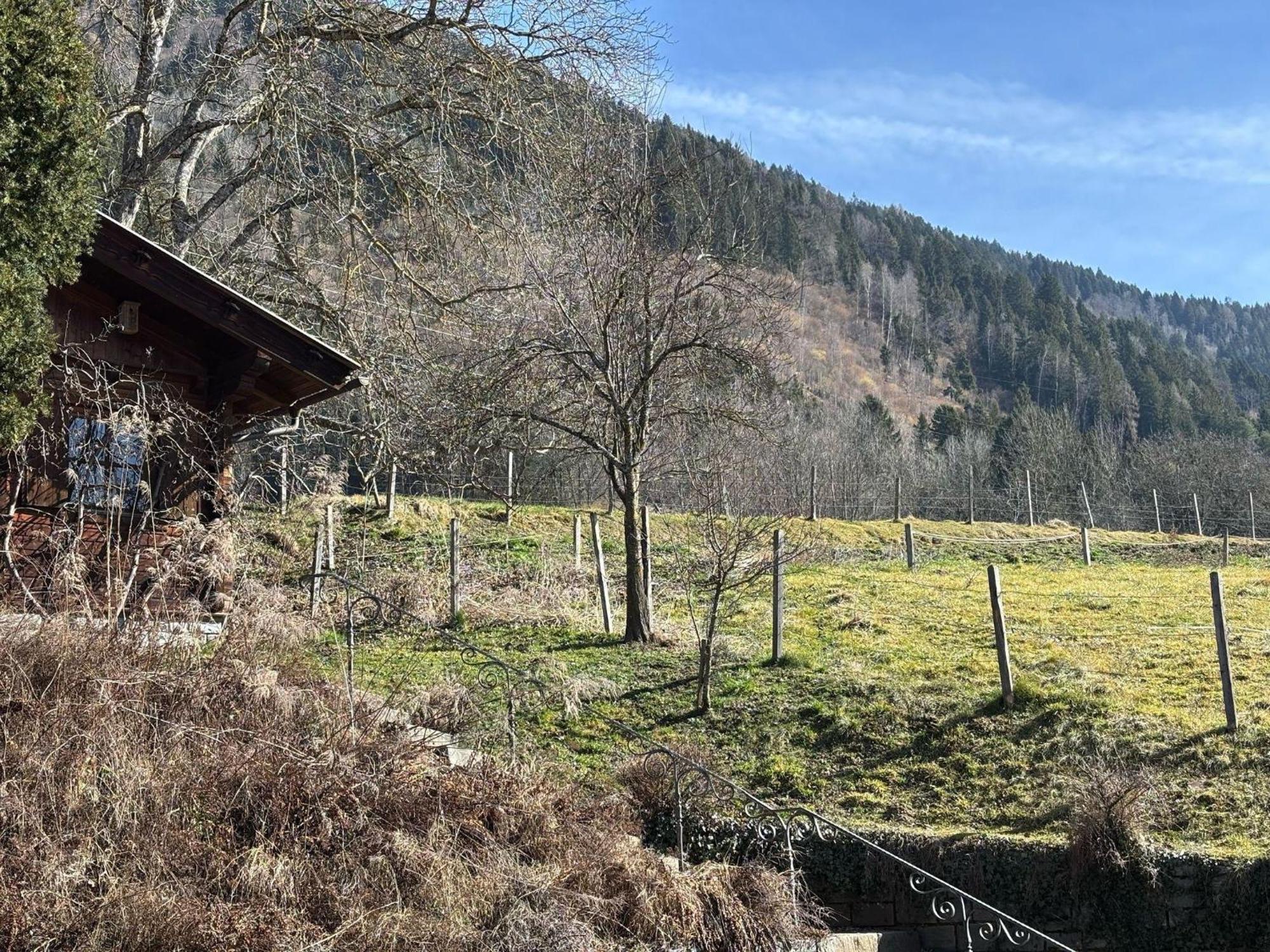 Appartement Moderne-ferienwohnung-nur-1km-vom-millstaetter-see-in-kaernten-entfernt *